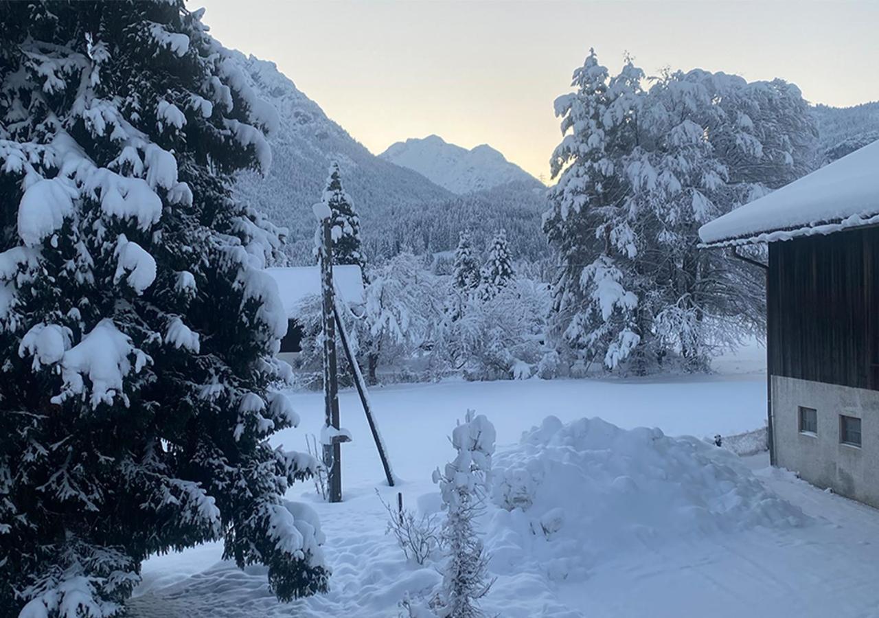 Jaegers Wohnung Zwischen Ehrenberg Und Neuschwanstein Reutte Exteriör bild